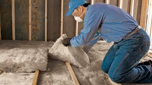 Types of Insulation We Offer in Piney Mountain, VA